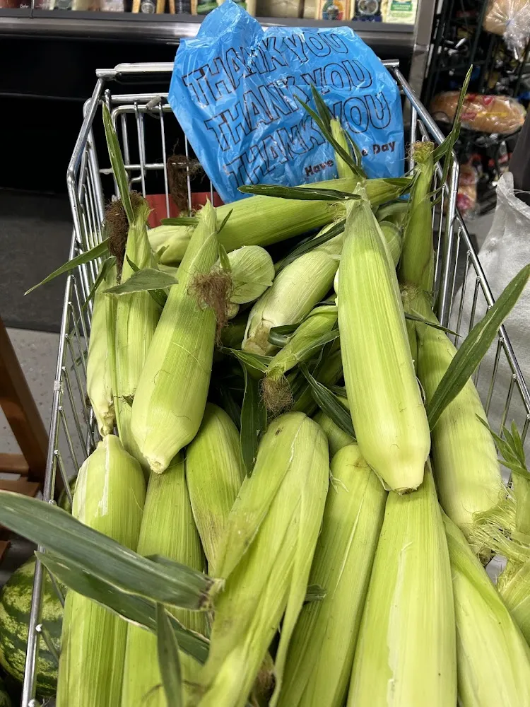 Maize